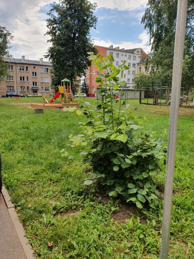 Apartament Erfolg 6 Daugavpils Buitenkant foto